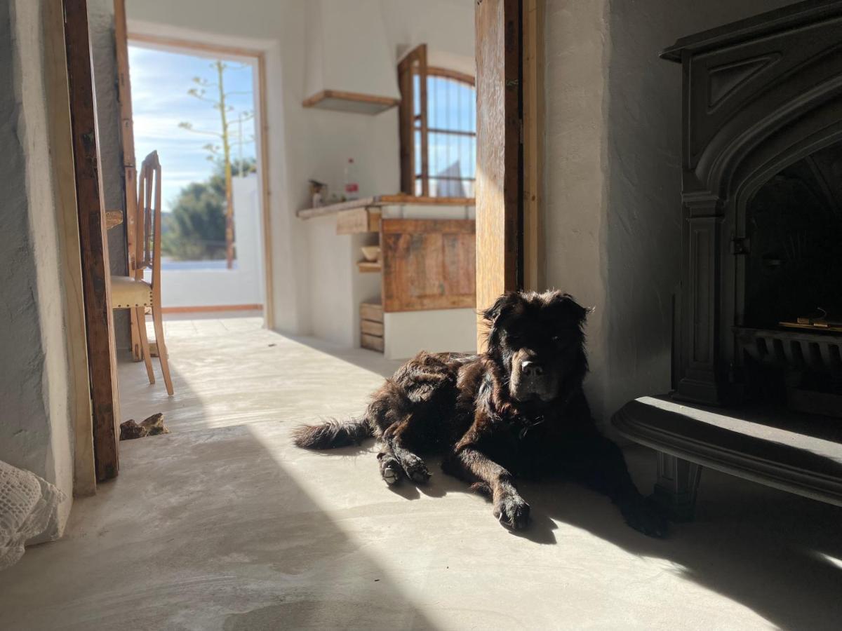 Villa Mi Marino Fernan Perez 외부 사진